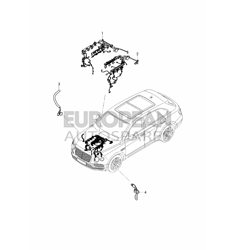 36A971595Q-Bentley WIRING SET FOR ENGINE    